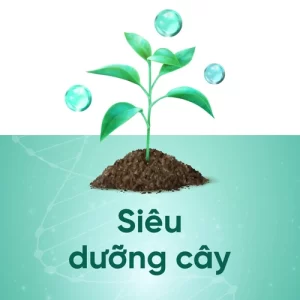 Phân bón qua lá
