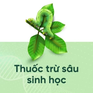Phòng trừ sâu bệnh