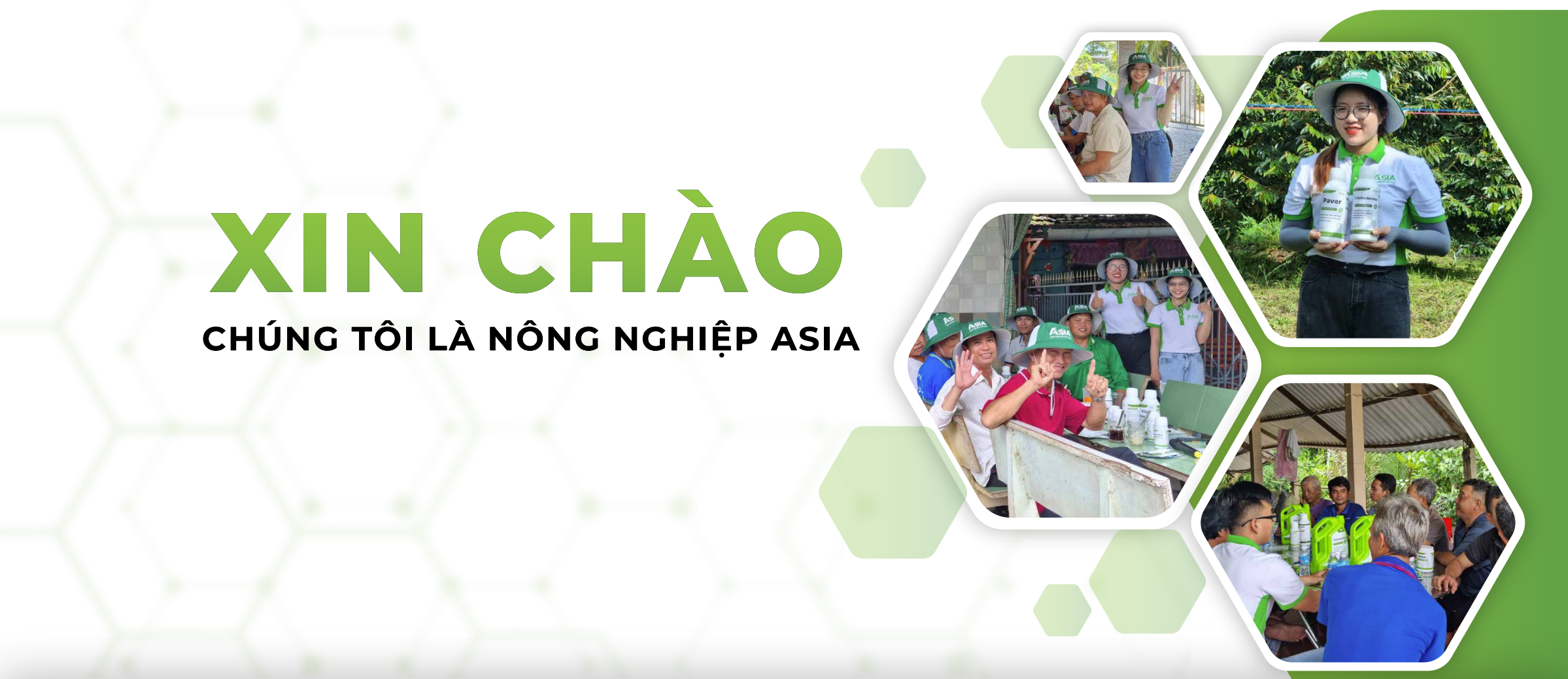 anh-minh-hoa
