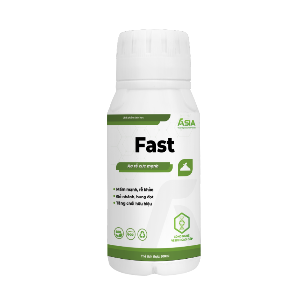 Fast 500ml