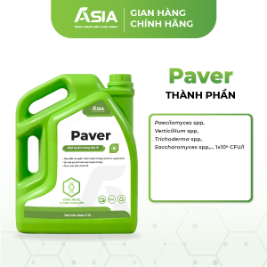 Paver_5l_Thanhphan