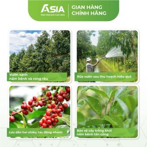 sat-khuan-khang-nam-giap-dong