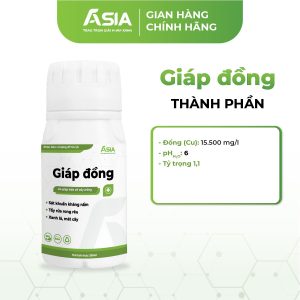 thanh-phan-sat-khuan-khang-nam-giap-dong