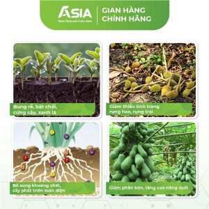 AsiaPro-Cong-dung