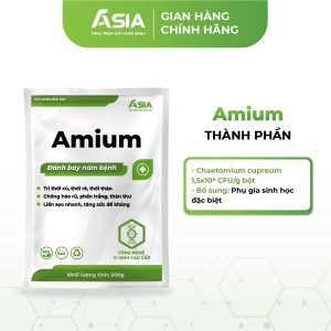 dac-tri-thoi-than-thoi-re