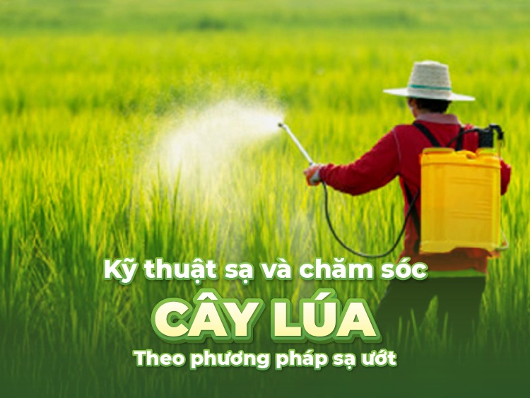phuong-phap-sa-uot
