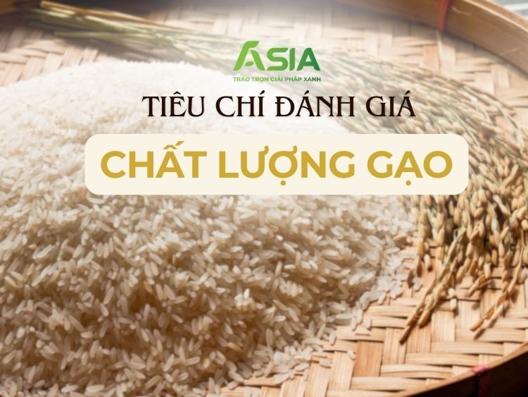 pham-chat-gao