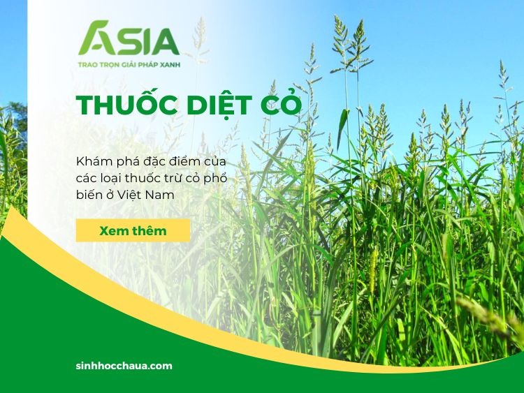 thuoc-diet-co