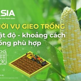 thoi-vu-va-khoang-cach-trong-ngo