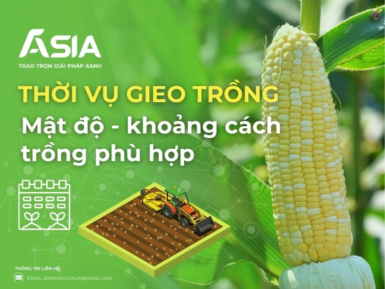 thoi-vu-va-khoang-cach-trong-ngo