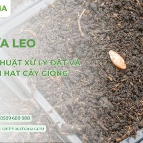 cach-lam-dat-trong-dua-leo